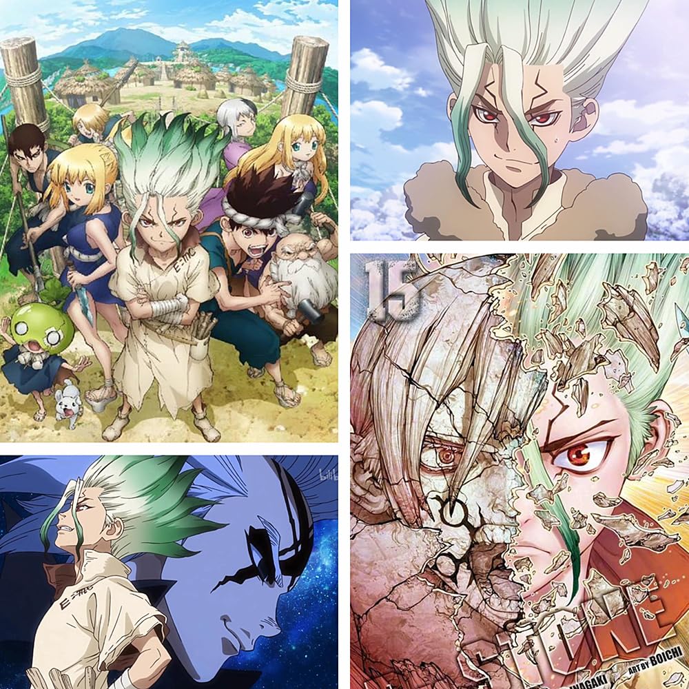 Sweat à capuche imprimé de dessin animé Dr.Stone Ishigami Senku, sweat-shirt doux décontracté utilisé pour les fans de manga cosplay