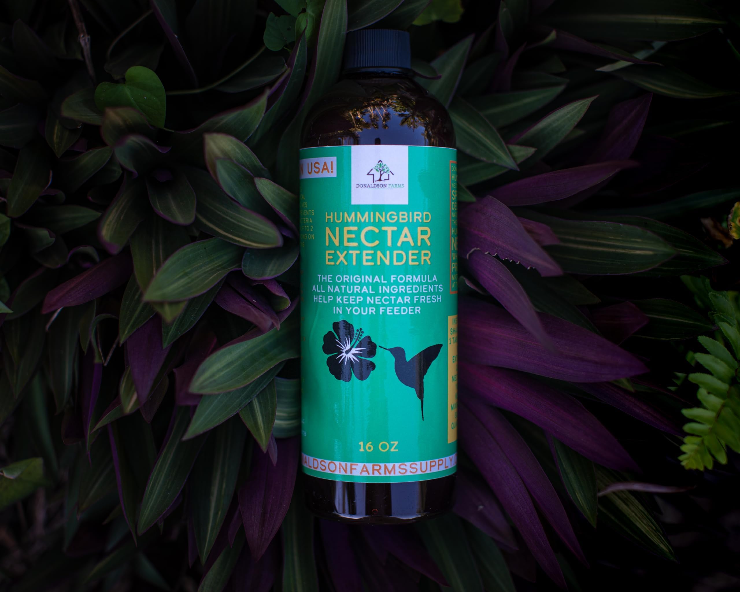 Estensore per nettare di colibrì, prolunga la vita del nettare e attrae i colibrì in modo naturale, tutto biologico, mantiene il nettare fresco più a lungo - Goditi il nettare trasparente senza
