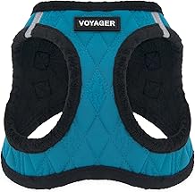 Best Pet Supplies - All Weather Plush, Reflective, No Pull Harness for Small, Medium Dogs, Cats - Secure with Hook & Loop Fastener, Buckle, Double D-Rings - Turquoise Plush, S