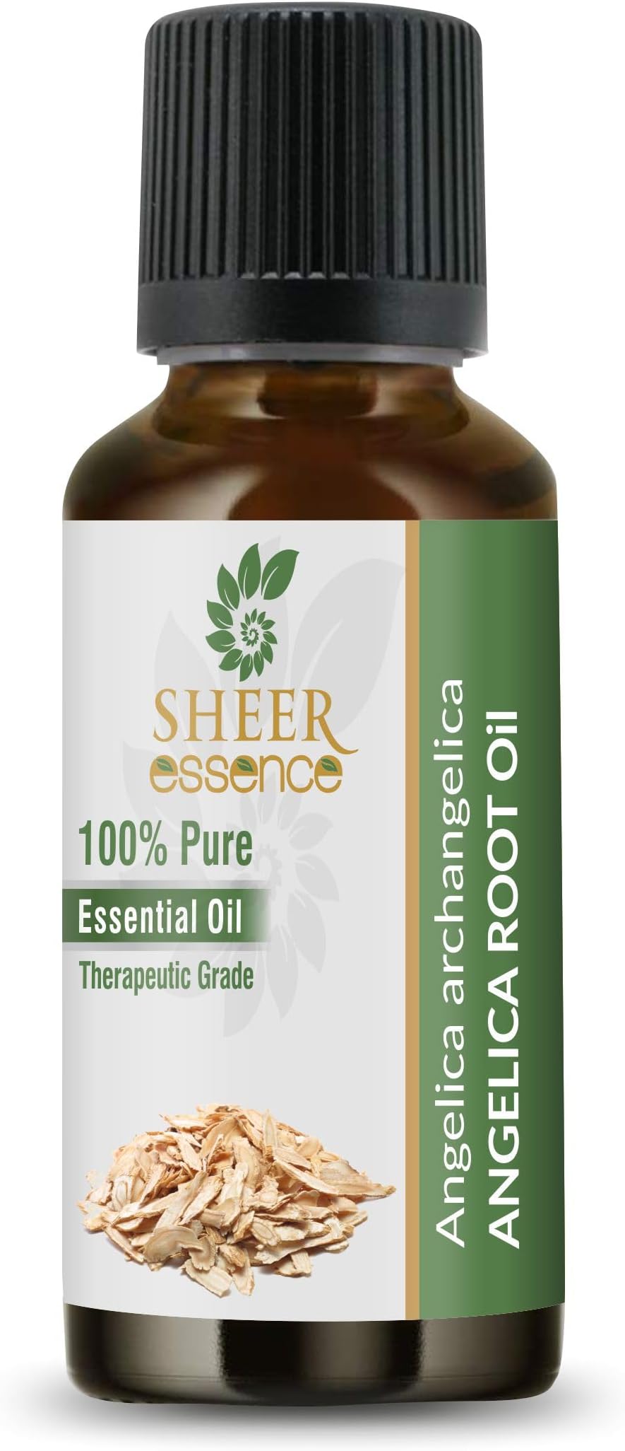 Angelica Root Oil (Angelica Archangelica) Essential Oil 100% Pure Natural Undiluted Uncut Therapeutic Grade Oil 0.51 Fl.OZ