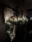 Review Image by Evalina H