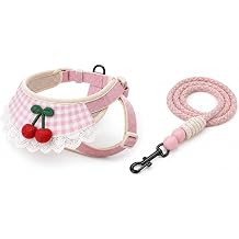 Hundegeschirr mit Leine Zugfreies Set S   08cm