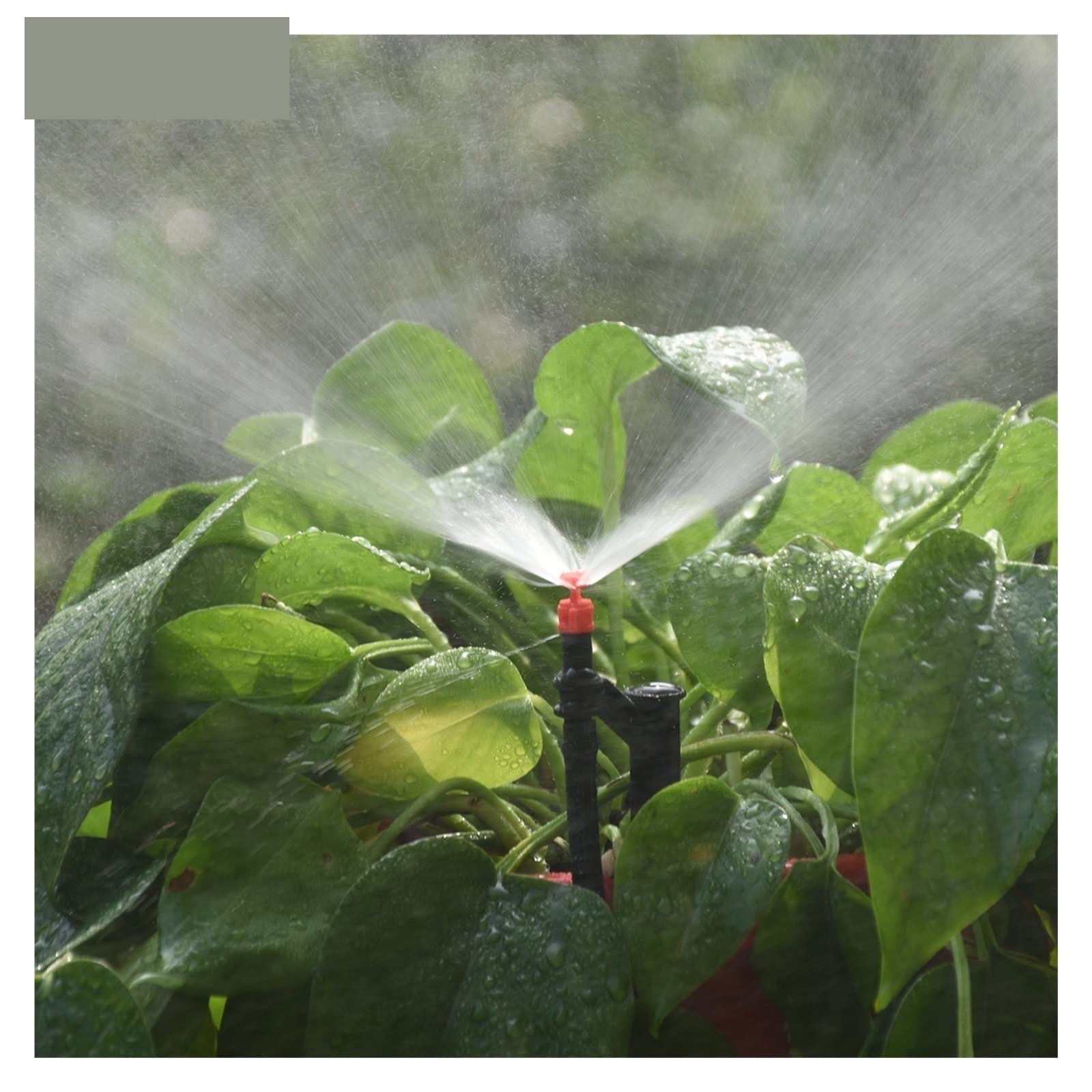 10m-50m 4/7mm Gartenbewässerung PVC-Schlauch 1/4 Zoll Micro Pipe Tubing Tropfbewässerung Balkon Sprinkler Rasen Blume Pflanze Lucky(SPL11-KIT11-50M)