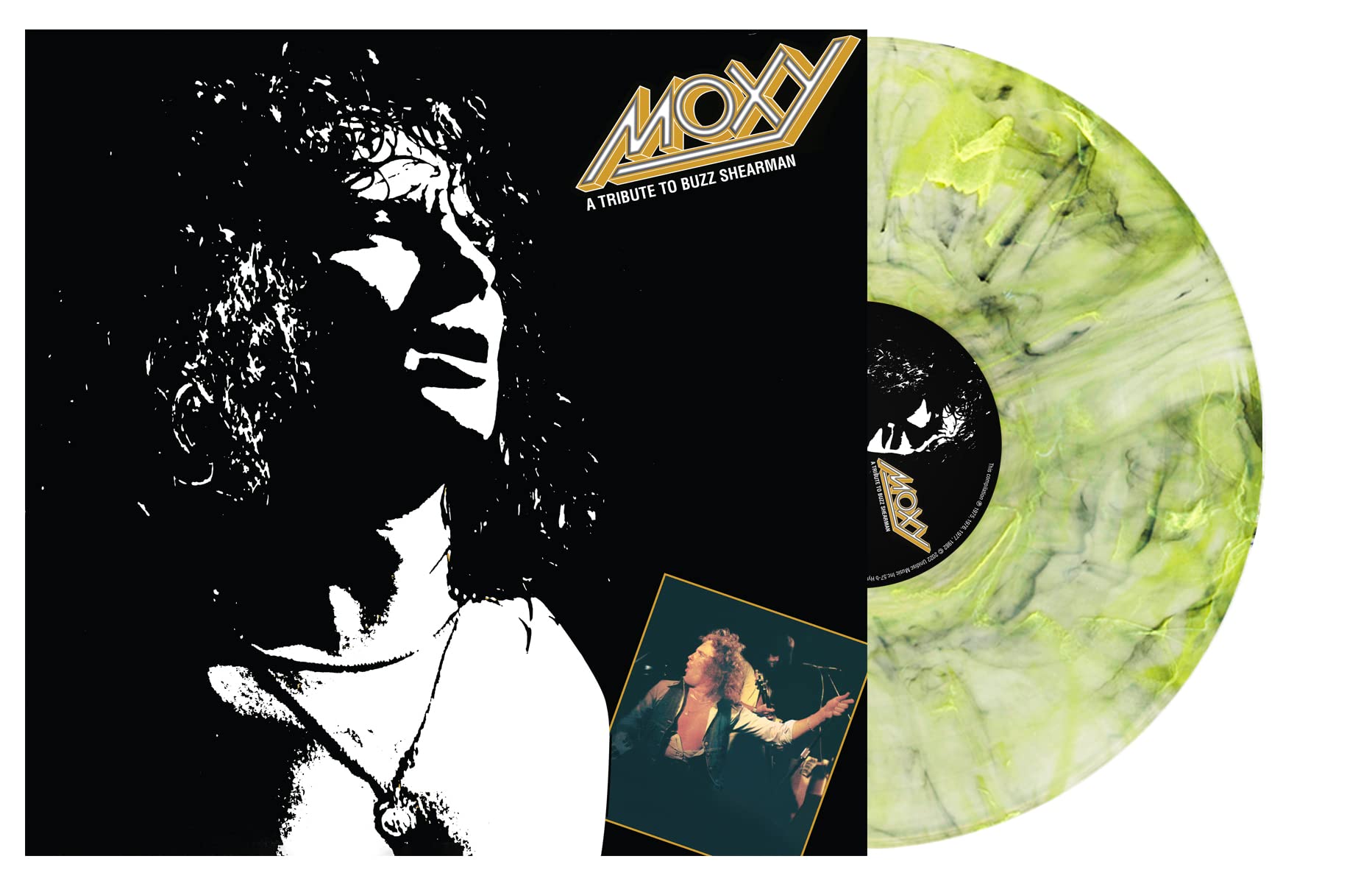 A Tribute To Buzz Shearman (Color Vinyl) [VINYL]
