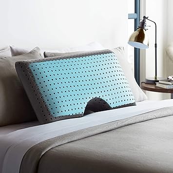 true evolution pillow