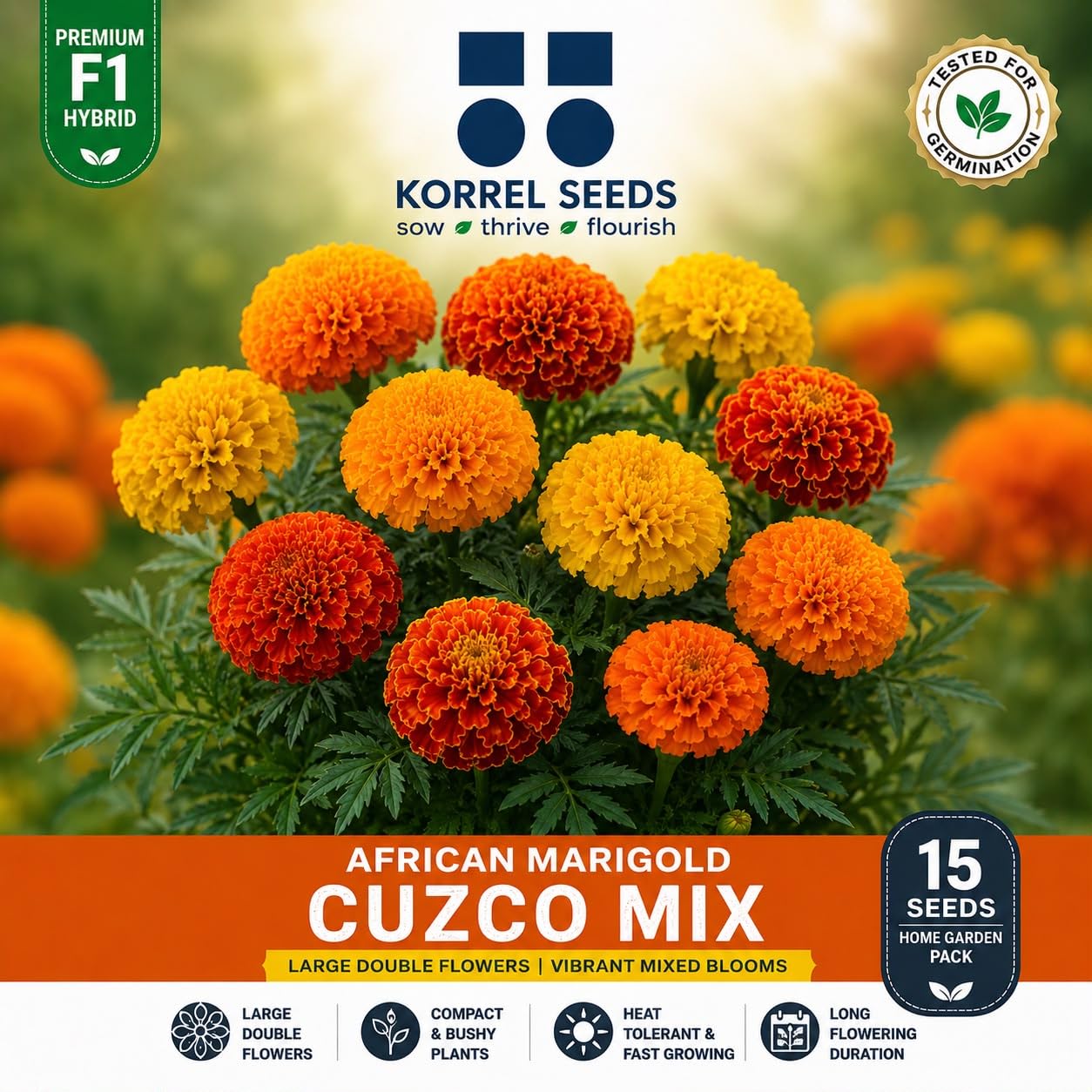 African Marigold Cuzco F1 Hybrid Mix Flower Seeds | Orange & Yellow Large Double African Marigold | Premium Hybrid | Home Gardening | 15 Seeds (Mix)-image-18