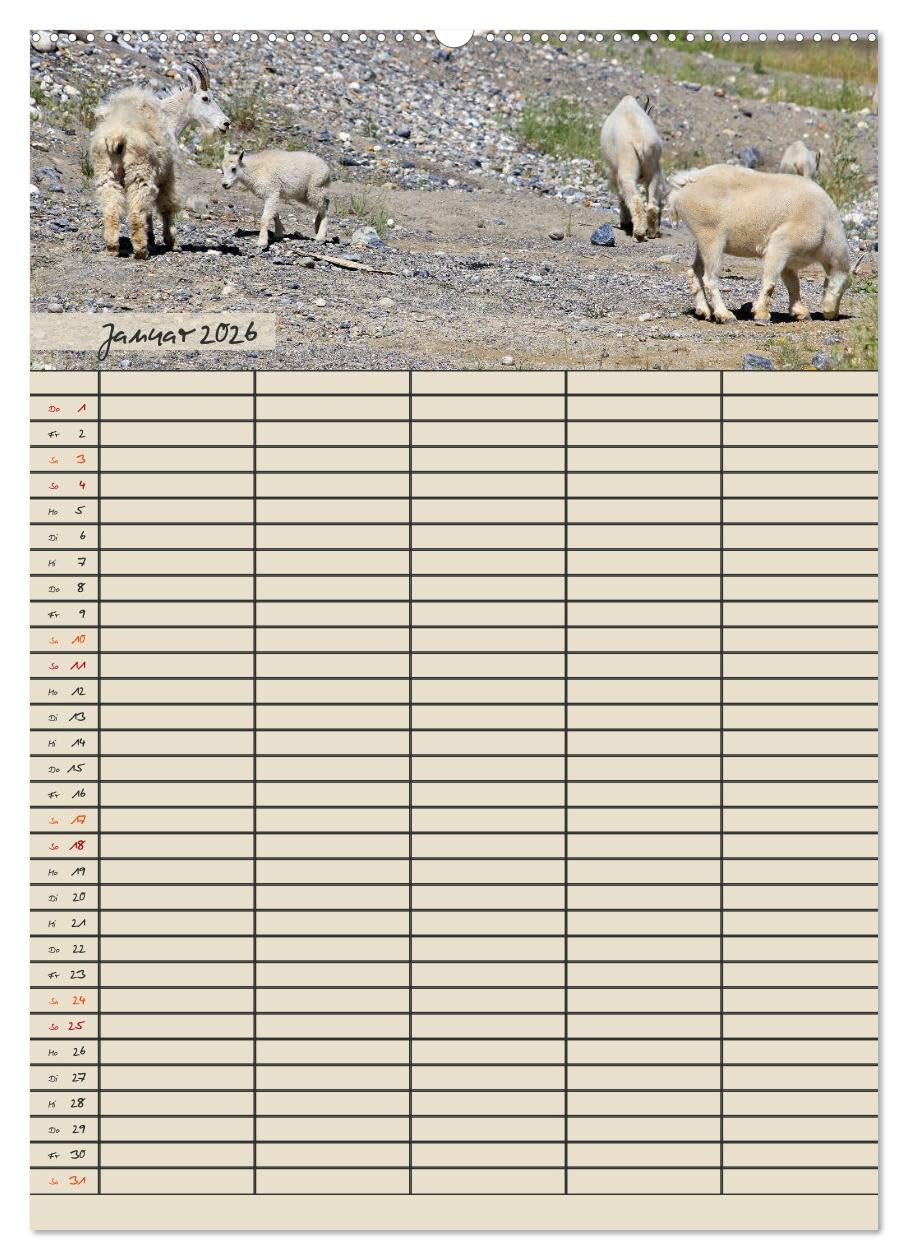 Tierischer Familienplaner (hochwertiger Premium Wandkalender 2026 DIN A2 hoch), Kunstdruck in Hochglanz: Deine tierische Hilfe beim Planen von Schule, Beruf, Haushalt und Freizeit (CALVENDO Tiere)