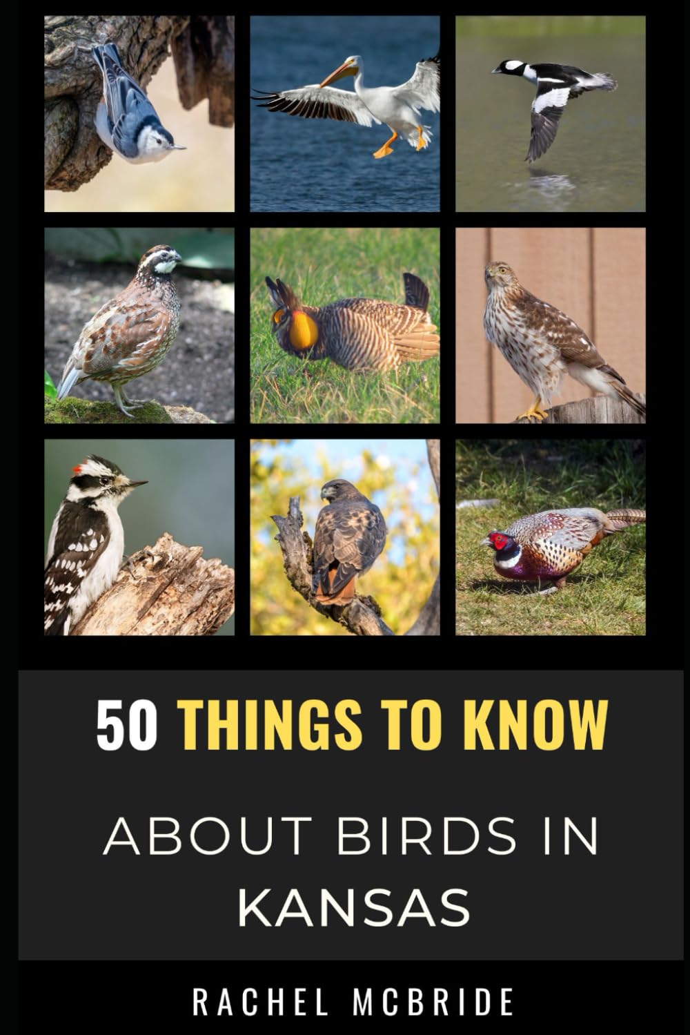 50 Things to Know About Birds in Kansas: Birdwatching in the Sunflower State (50 Things to Know About Birds and Birdwatching: Birdwatching guides, bird identification tips, and regional bird books)