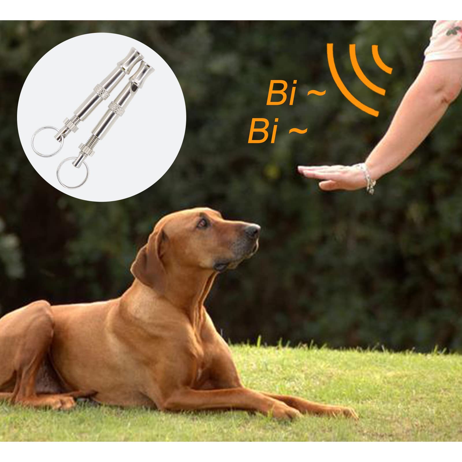 Andiker 2 Pcs Sifflet pour Chien, Sifflet pour Compagnie en Acier Inoxydable à fréquence réglable avec lanière, Sifflet à ultrasons Professionnel pour l'entraînement et Le contrôle des aboiements