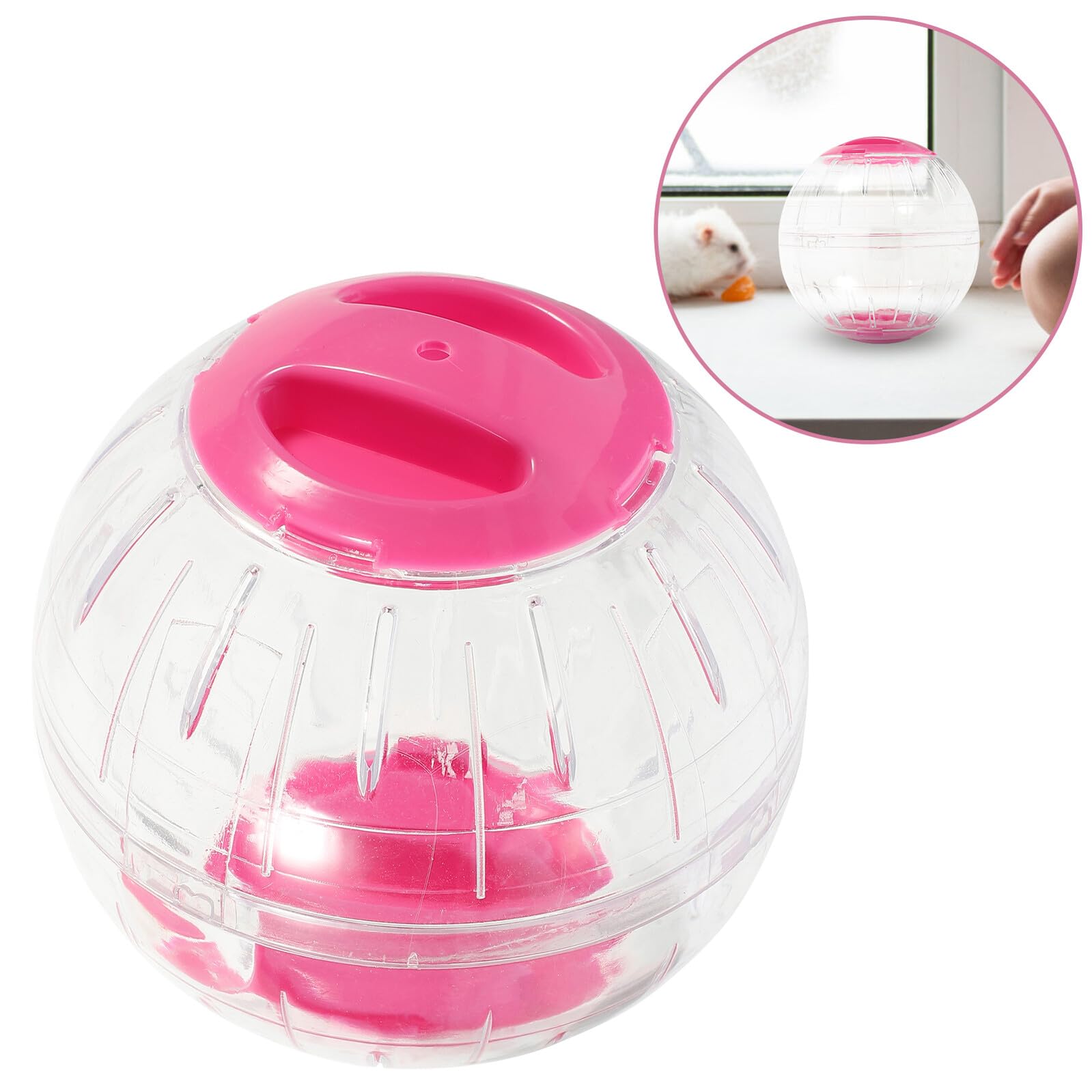 NUOBESTY 4pièces Roue Exercice Transparente pour Hamster Roue De Course Silencieuse pour Petits Animaux Activité pour Rongeurs