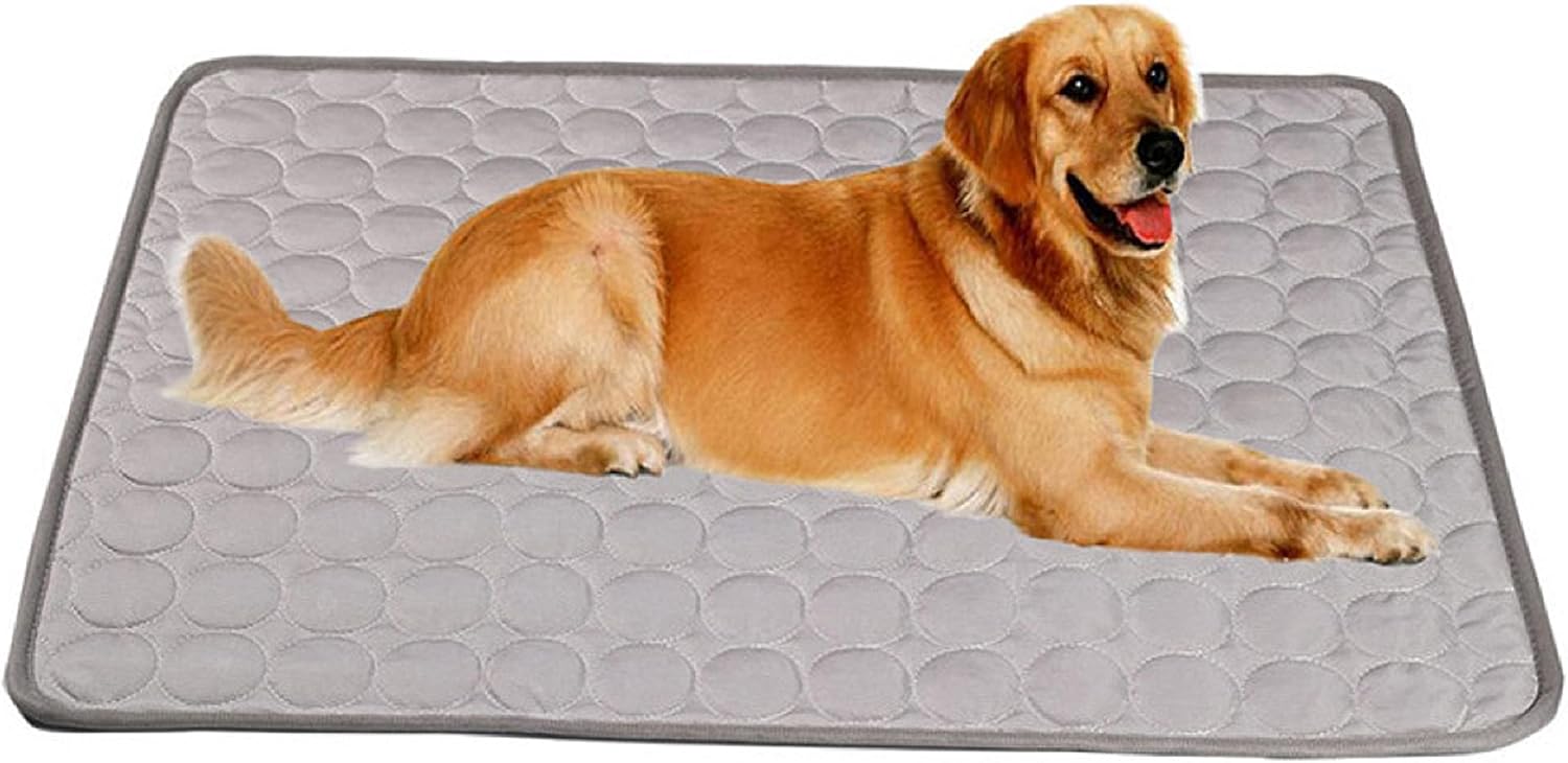 Kühldecke Für Hunde – 40x50 Cm, Q-MAX 0.5, Selbstkühlend, Waschbar, Weich & Rutschfest, Für Heiße Tage
