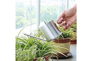 Watering Cans, 10oz/300ml Stainless Steel Long Spout Mini Regadera de Lluvia
