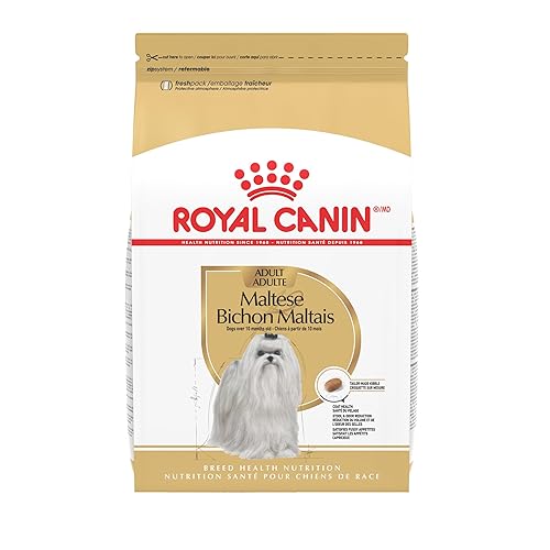 Royal Canin Breed Health Nutrition Maltese Adult Dry Dog Food,