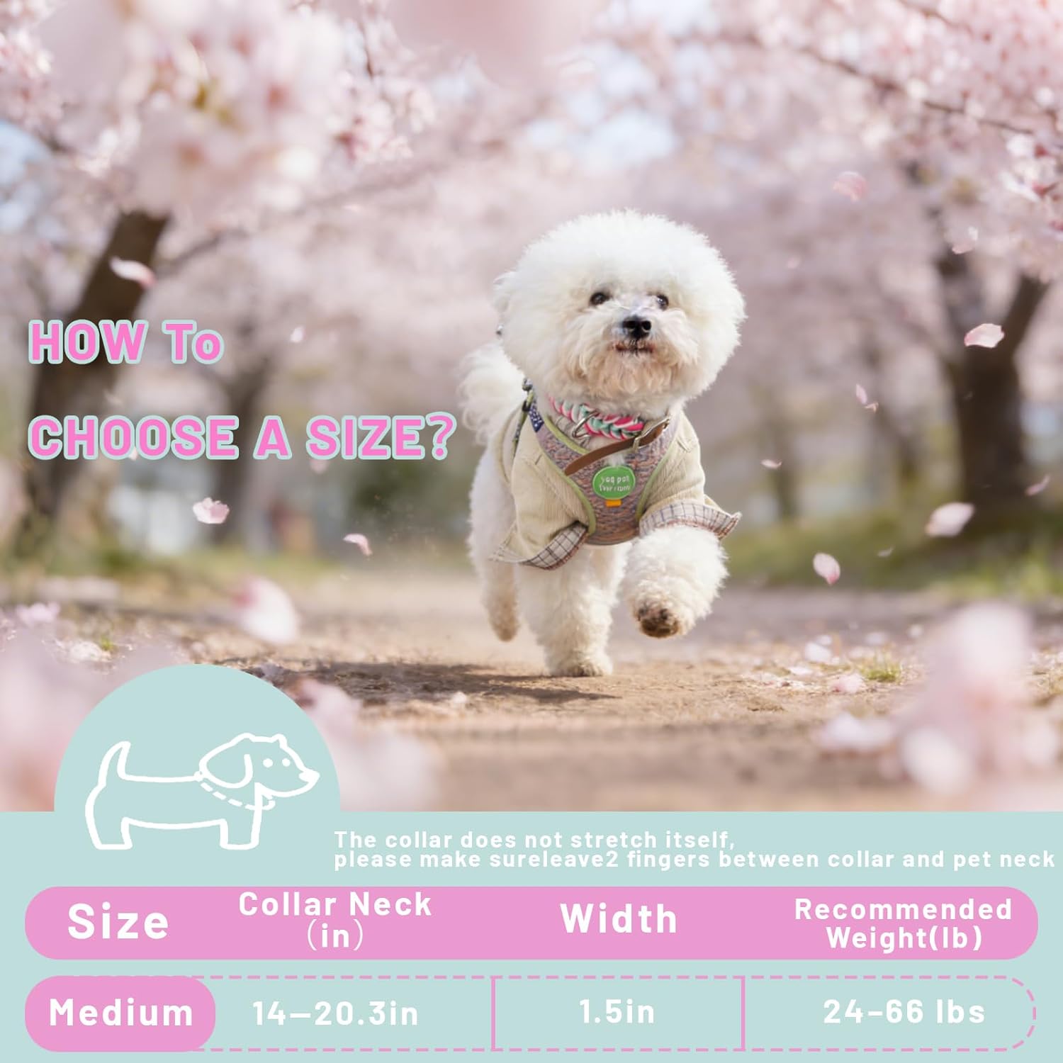 Pet Woven Paracord Dog Collar and Leash Set, Adjustable Suitable for Small Medium Dogs-Pink Mint Collar for Girls and Boy Dogs, M