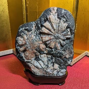 Gojyo　天然石鑑賞石菊花石など　置物　4点まとめて　台付　V　3900 Gojyo様専用 天然石鑑賞石菊花石など 置物 4点まとめて 台付