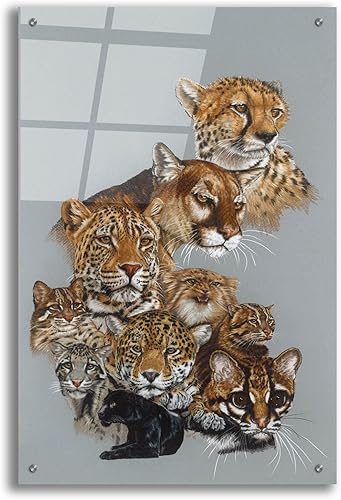 'Awesome' by Barbara Keith, Acrylic Glass Wall Art, 24"x36" disponible en Yaxa Venezuela