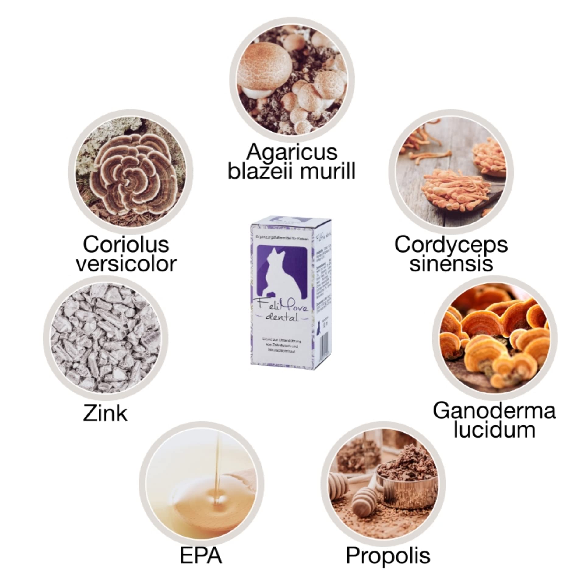 dental - Liquid für Katzen mit Vitalpilzen, Propolis, EPA und Zink (auch bei FORL, Entzündung oder Rötung des Zahnfleisch verträglich)