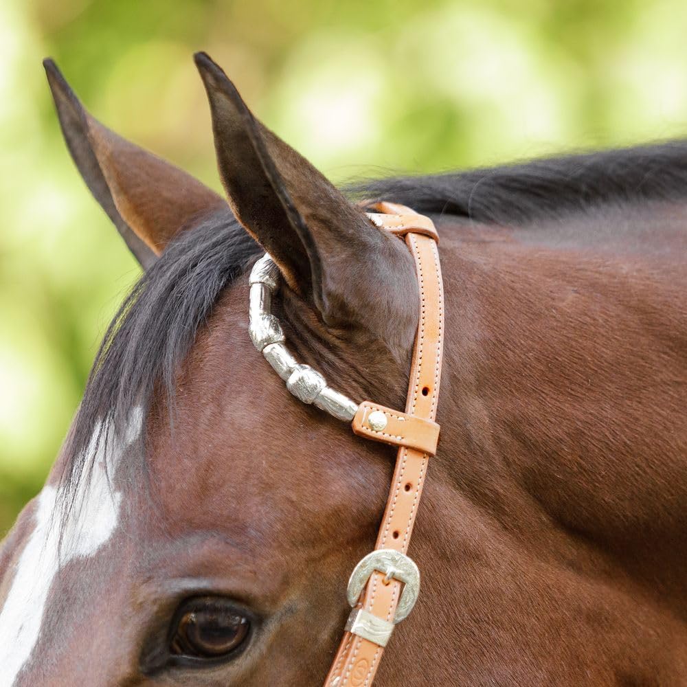 Schneiders Two Ear Silver Plated Concho Western Show Headstall | Premium Argentine Leather | Engraved Silver Trim & Classic Western Style for Horses
