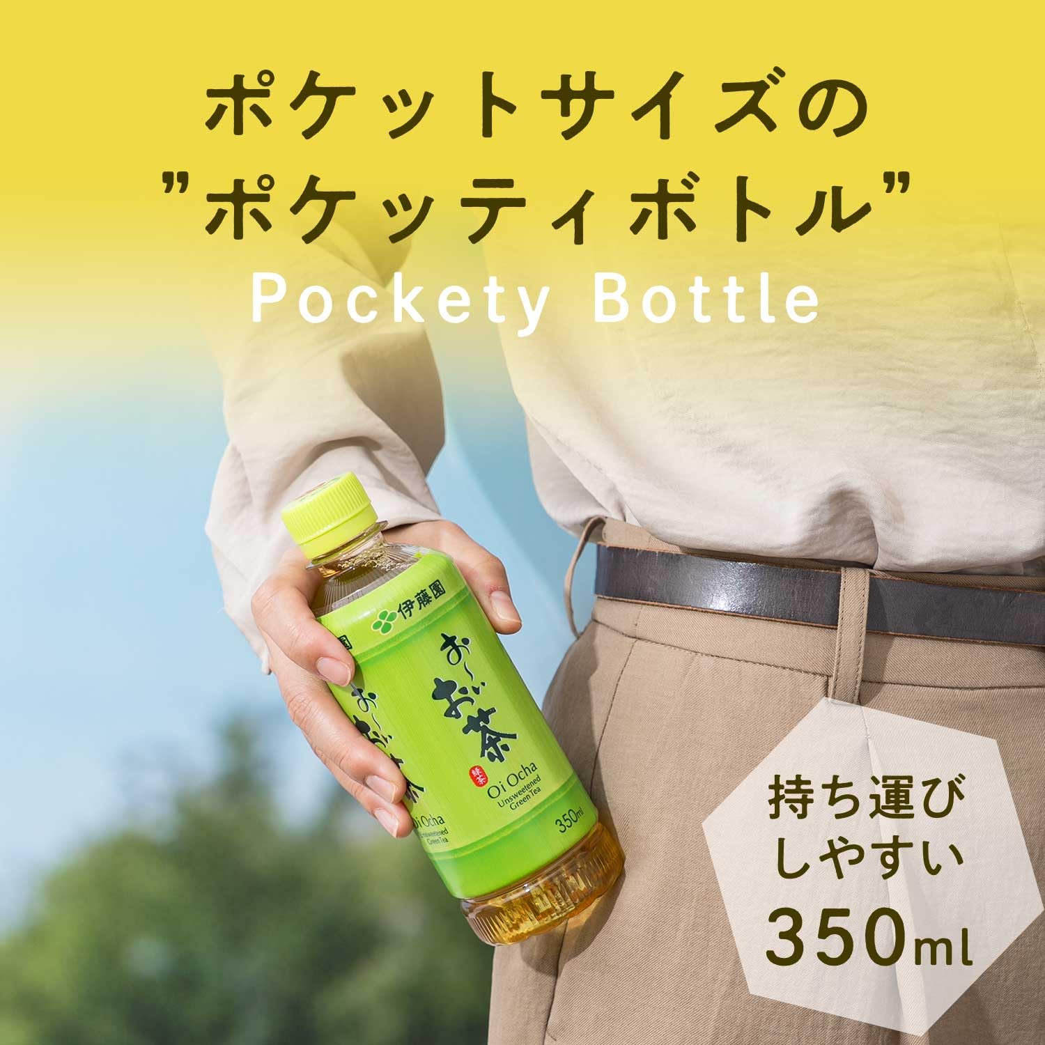 Amazon.co.jp: 伊藤園 おーいお茶 緑茶 (ポケッティボトル) 350ml ×24