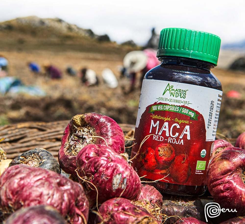 Amazon Andes Red Maca Root Capsules 500mg - Authentic Maca Roja Lepidium Meyenii from Junin Peru 14000 Feet - 100 Vegetarian Caps - High Altitude Andes Mountains - Non-GMO Gluten Free Vegan - Image 5