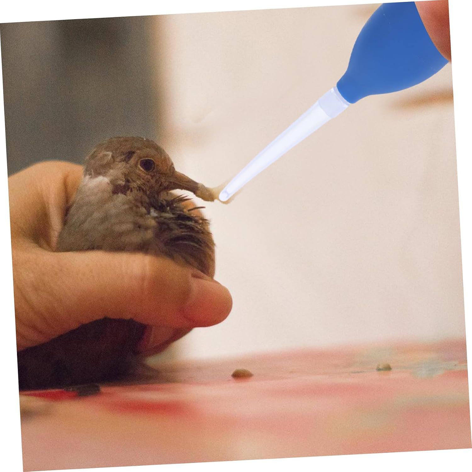 Portable Bird Nursing Dropper Reusable Pigeon Weaner Squab Feeding Aid Capsule Rehydration Device