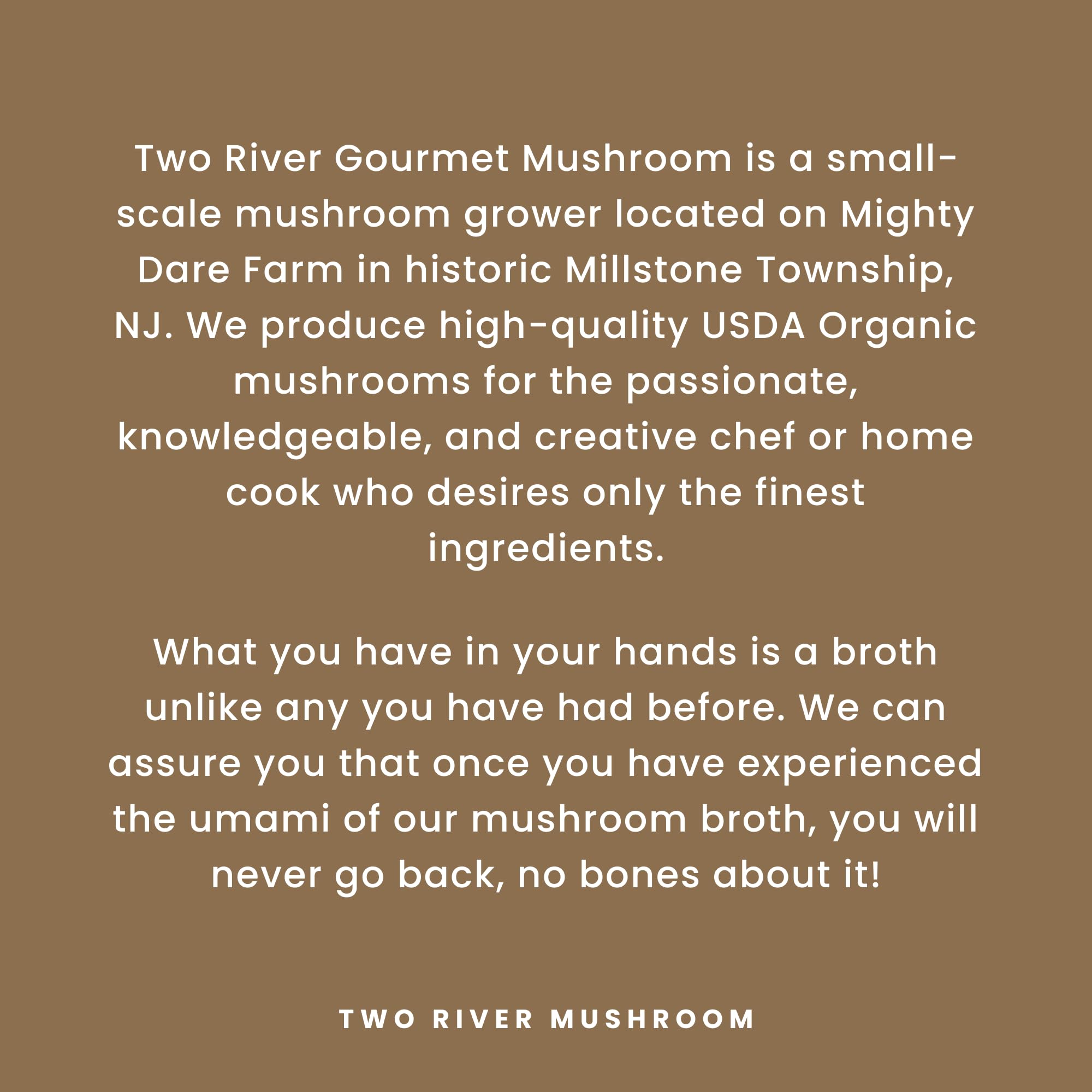 Two River Maitake Mushroom Broth | Organic Vegan Bone Broth Alternative, Creamy Coconut Curry Sipping Drink for Soup & Curries | Plant Based Gluten Free Meal, Ready to Sip – 17.6 fl oz (Pack of 4)