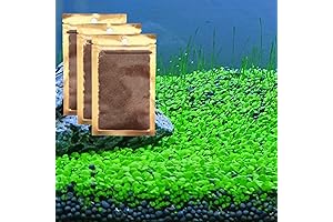 Aquarium Plant Seed Set: Bring Nature to Your Fish Tank