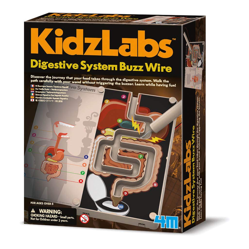 4M403386 Digestive System Buzz Wire