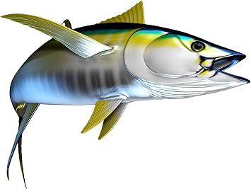 Yellowfin Tuna Beautiful Fish Decal | Fishing Decal for Boat, Car, Vehicle, Truck Etc. | Waterproof Vinyl Sticker | Many Sizes & Styles Available | 12" to 40" by Digital Fish Art Medium, Position 1