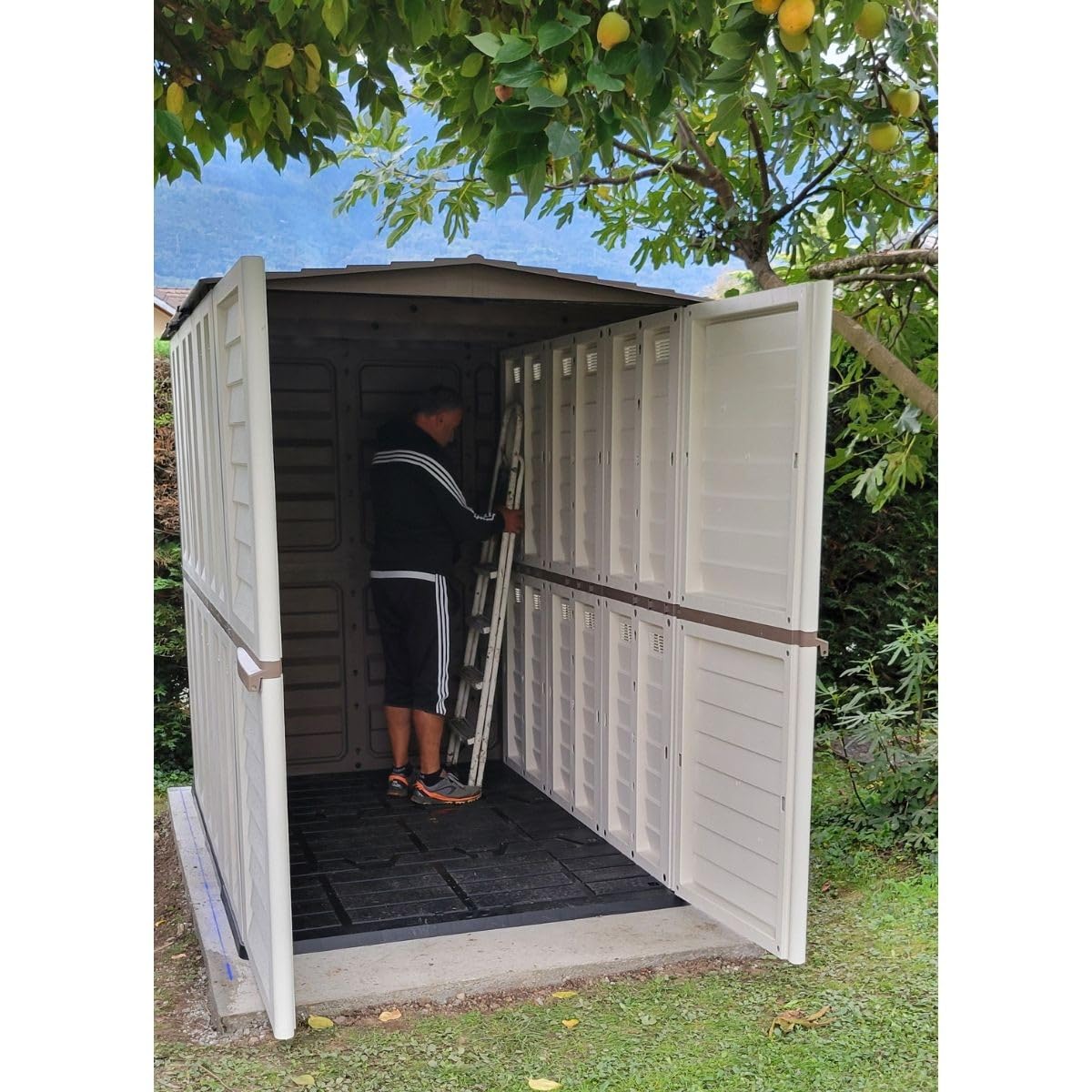 INTEC - Abri de Jardin Extérieur Beige - Cabanon de Jardin avec Plancher 151x146x200 - Rangement Outils, Vélos