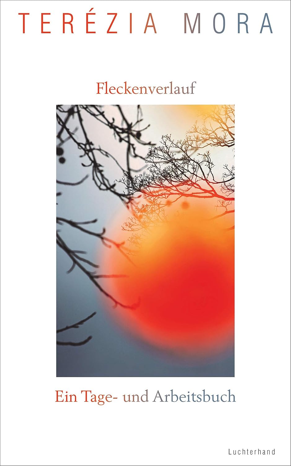 Fleckenverlauf: Ein Tage- und Arbeitsbuch (German Edition)