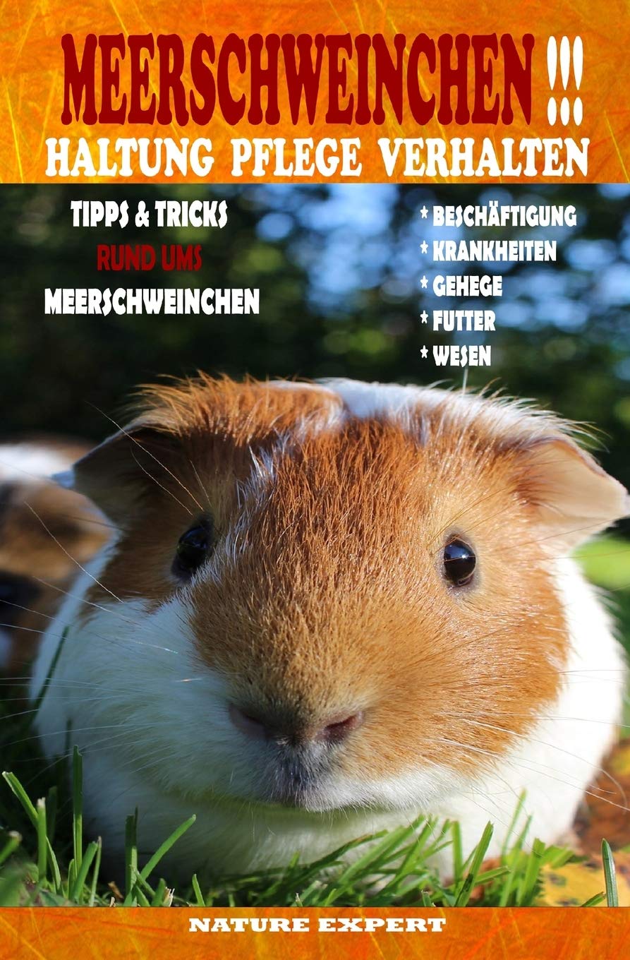 Meerschweinchen Haltung Pflege Verhalten: Meerschweinchen Haltung Buch ob im Gehege, Außengehege oder Unterstand ob Futter, Wasserspender oder ... den Umgang mit Zubehör, Spielzeug und Rassen.