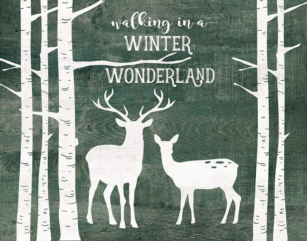 PosterazziCollection Winter Wonderland Poster Print by Jo Moulton (22 x 28)
