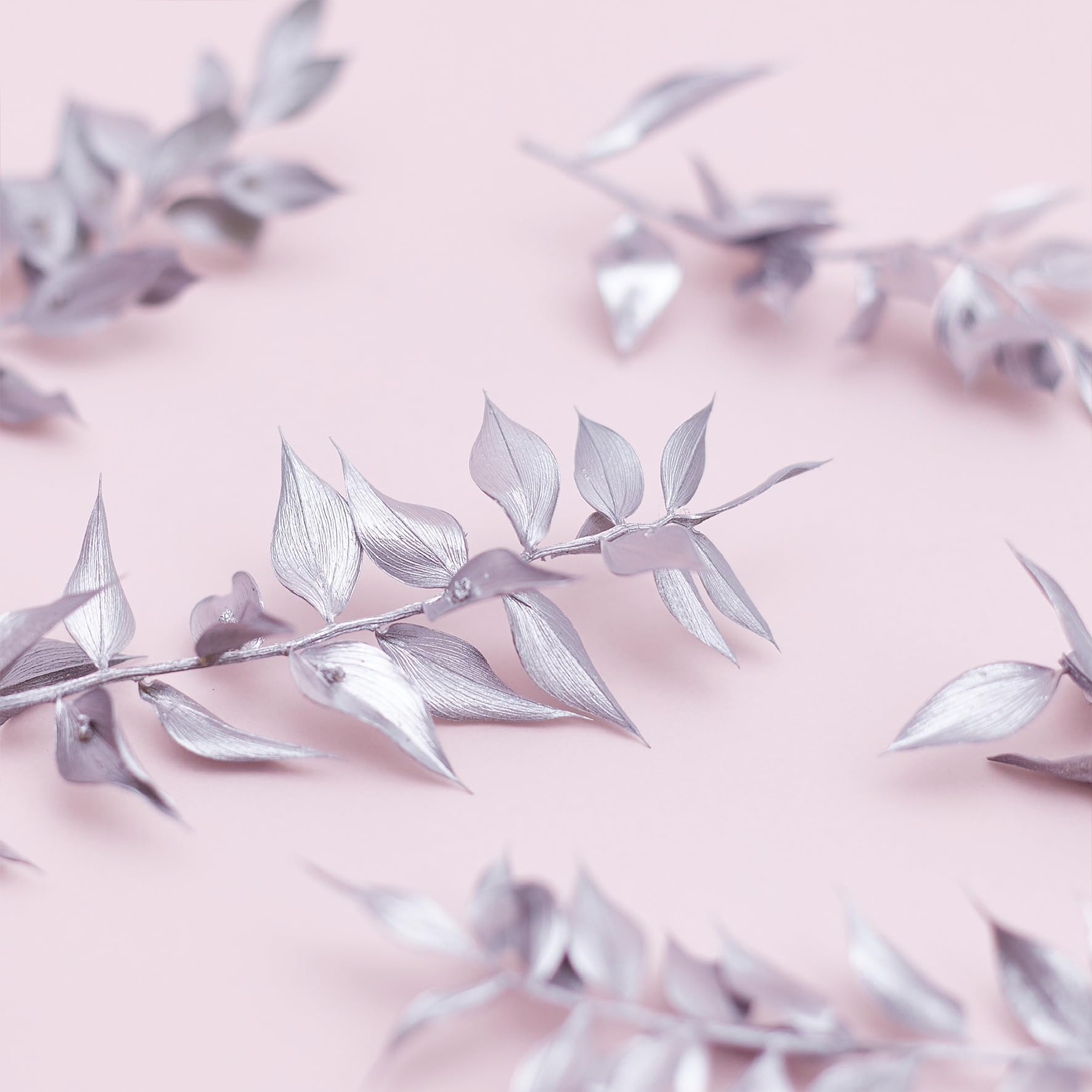 The Baked Studio - Original Dried Flower Ruscus Set For Cake & Cupcake Decorating & Others Crafts (Silver) - Image 3