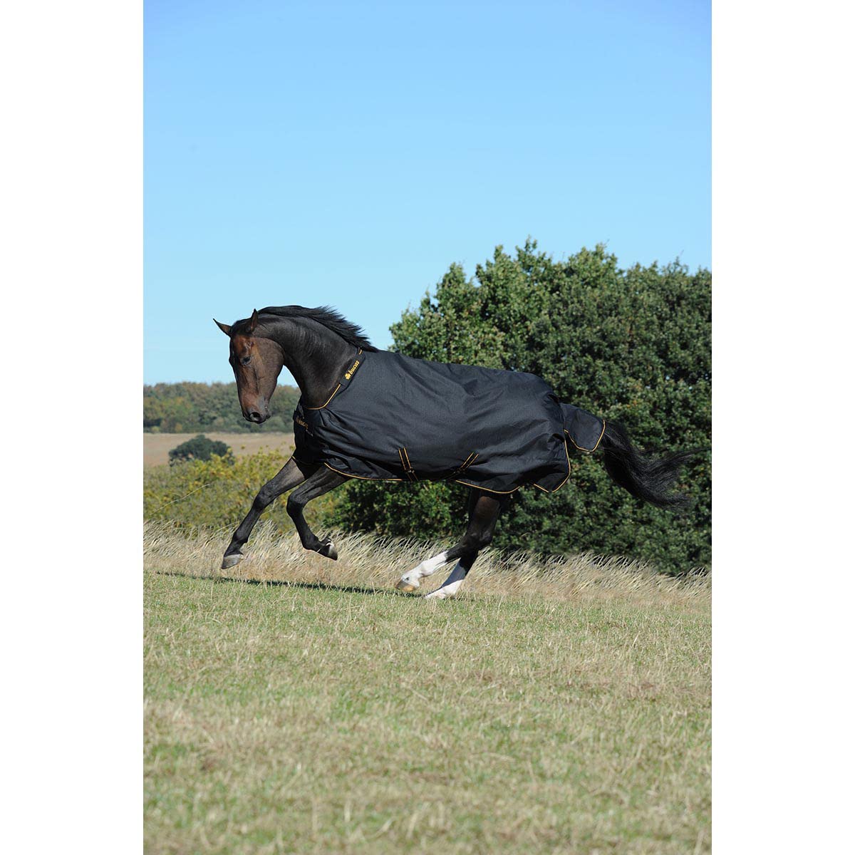 Bucas Irish Turnout 150g Größe 135, Black/Gold | 150g Füllung