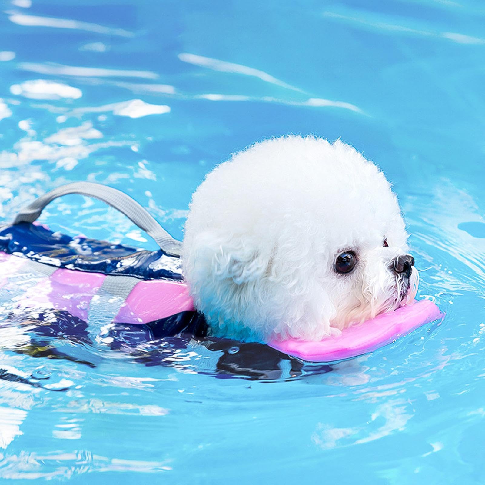 Gilet di galleggiamento per cani, regolabile, per cuccioli | Costume da bagno salvagente ad alto galleggiamento, con maniglia di salvataggio per cani, per piscina e spiaggia