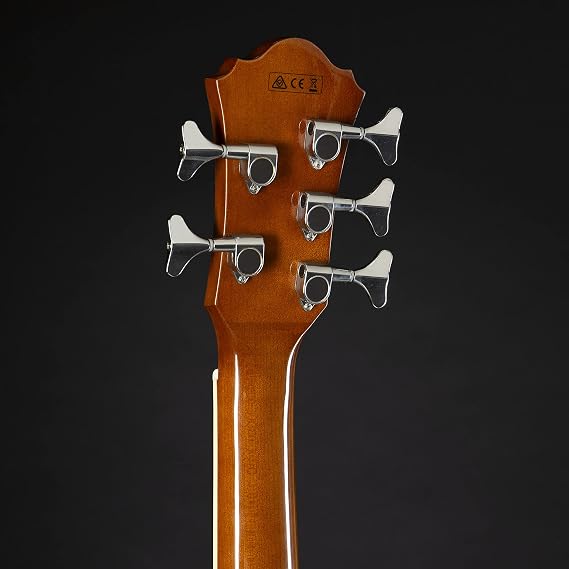 Ibanez AEB105E - Natural High Gloss