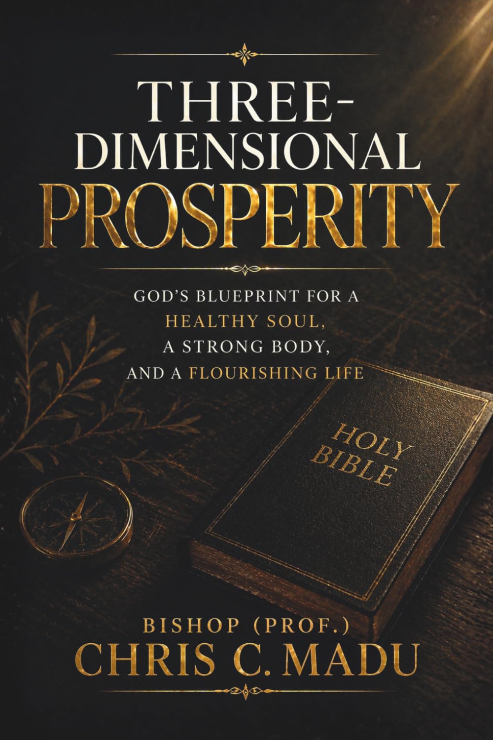 Three-Dimensional Prosperity: God’s Blueprint for a Healthy Soul, a Strong Body, and a Flourishing Life