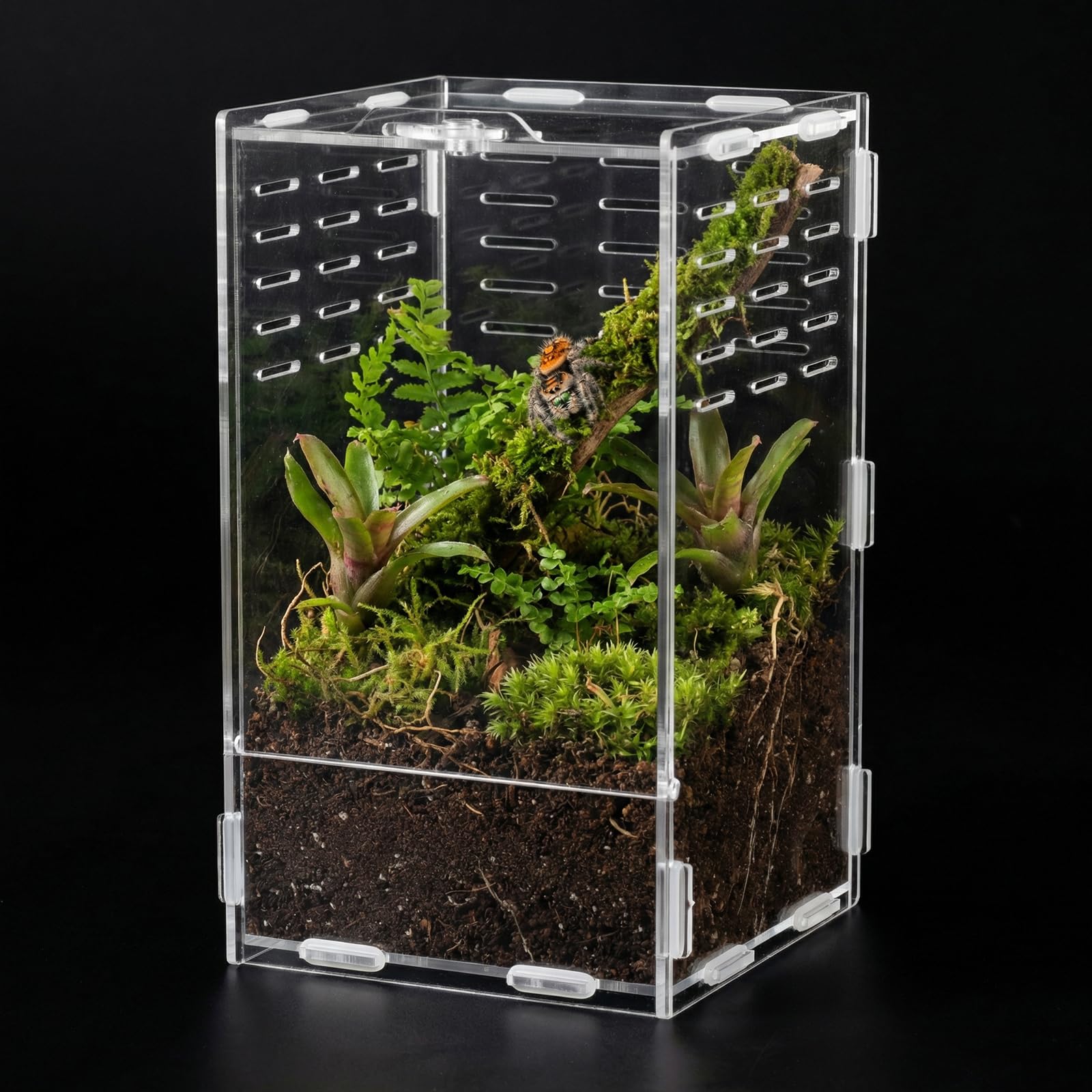 Photo 1 of JOUSONTY Jumping Spider Enclosure, 9.8 Inch Micro Terrarium