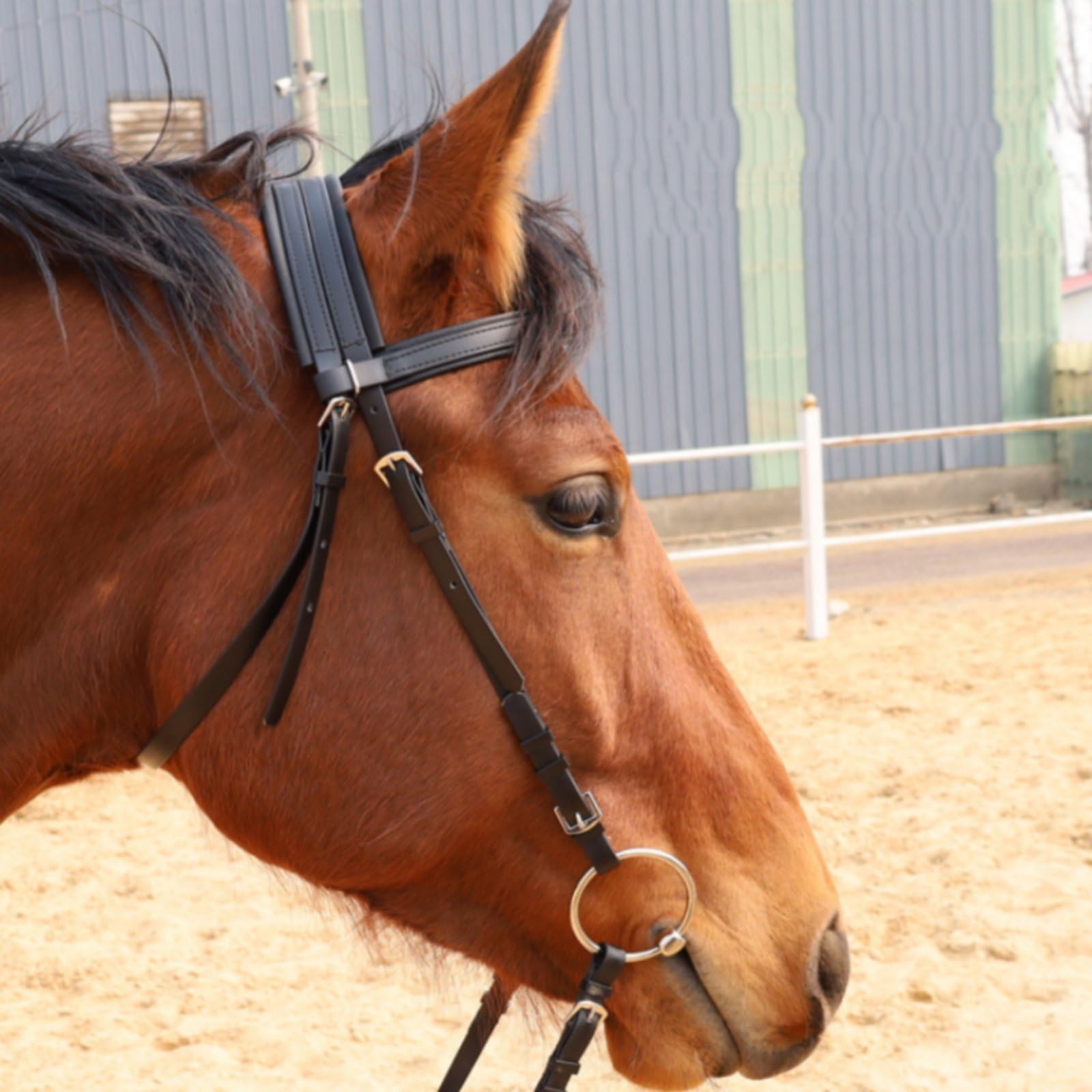 Brida de Caballo con Correas de Dirección Diseño Antideslizante Juego Arnés Cabeza Correas Dirección Acolchado Arnés Rienda Ajustable, Rosa