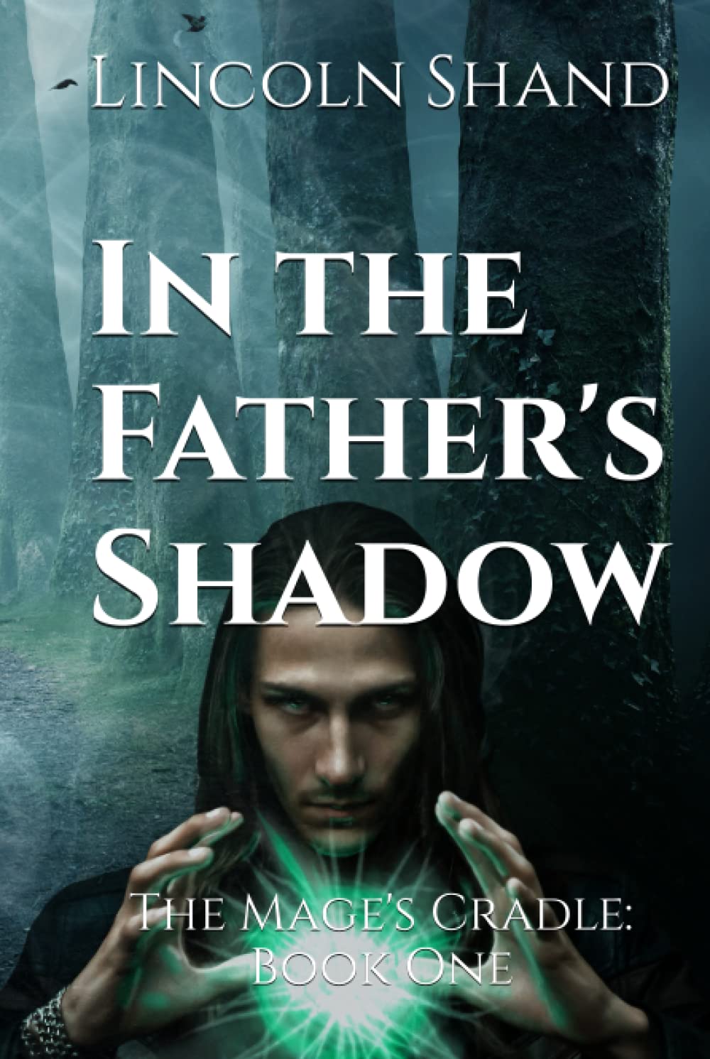 In the Father's Shadow: The Mage's Cradle: Book One