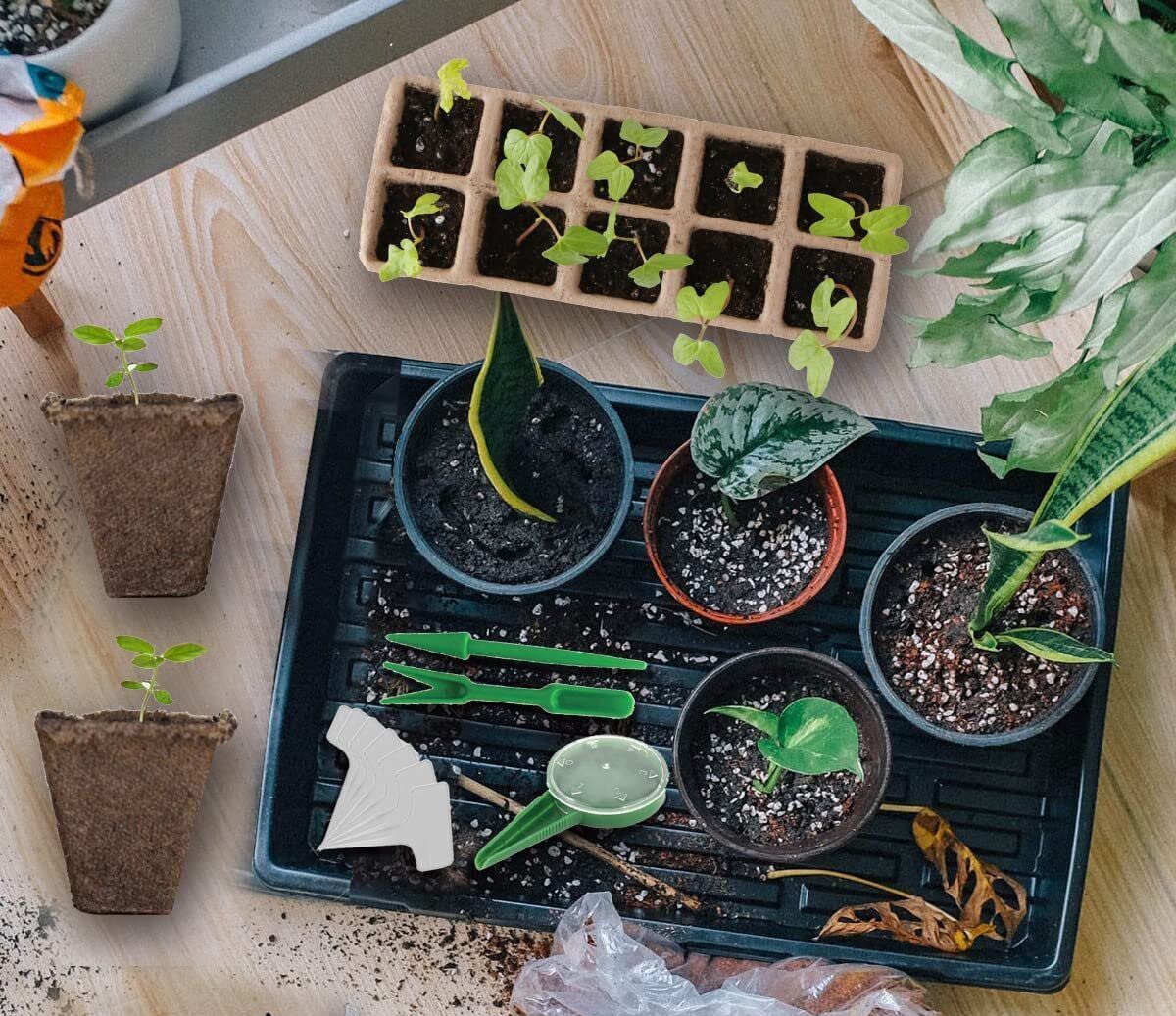 WY8 Seed Trays Starter Kit, Include 100 Biodegradable Pots for Seedlings 3 Plastic Growing Trays with 3 Crystal Lids - Image 4