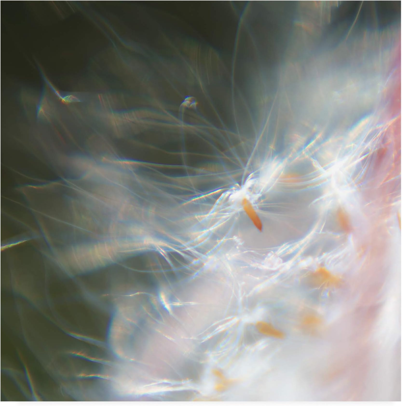 Trademark Fine Art Fairy Dance VI by Gillian Hunt, 24x24