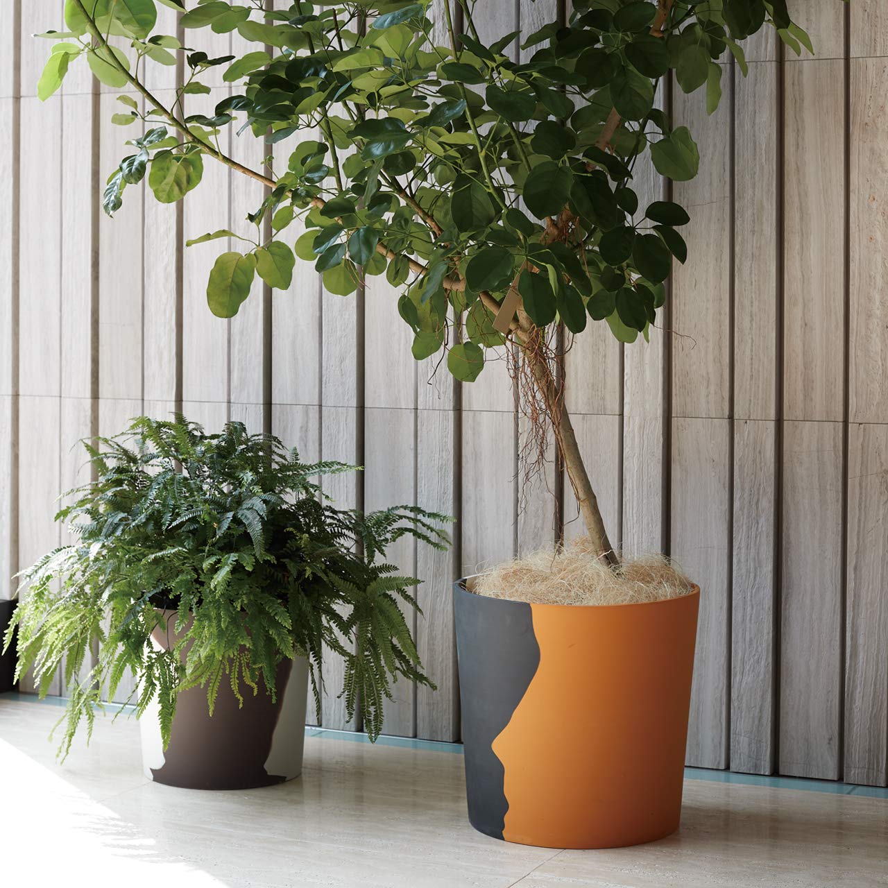 Amazon.co.jp: 植木鉢 大型 ホルスド プライマ 鉢カバー L 13号 灰[白 