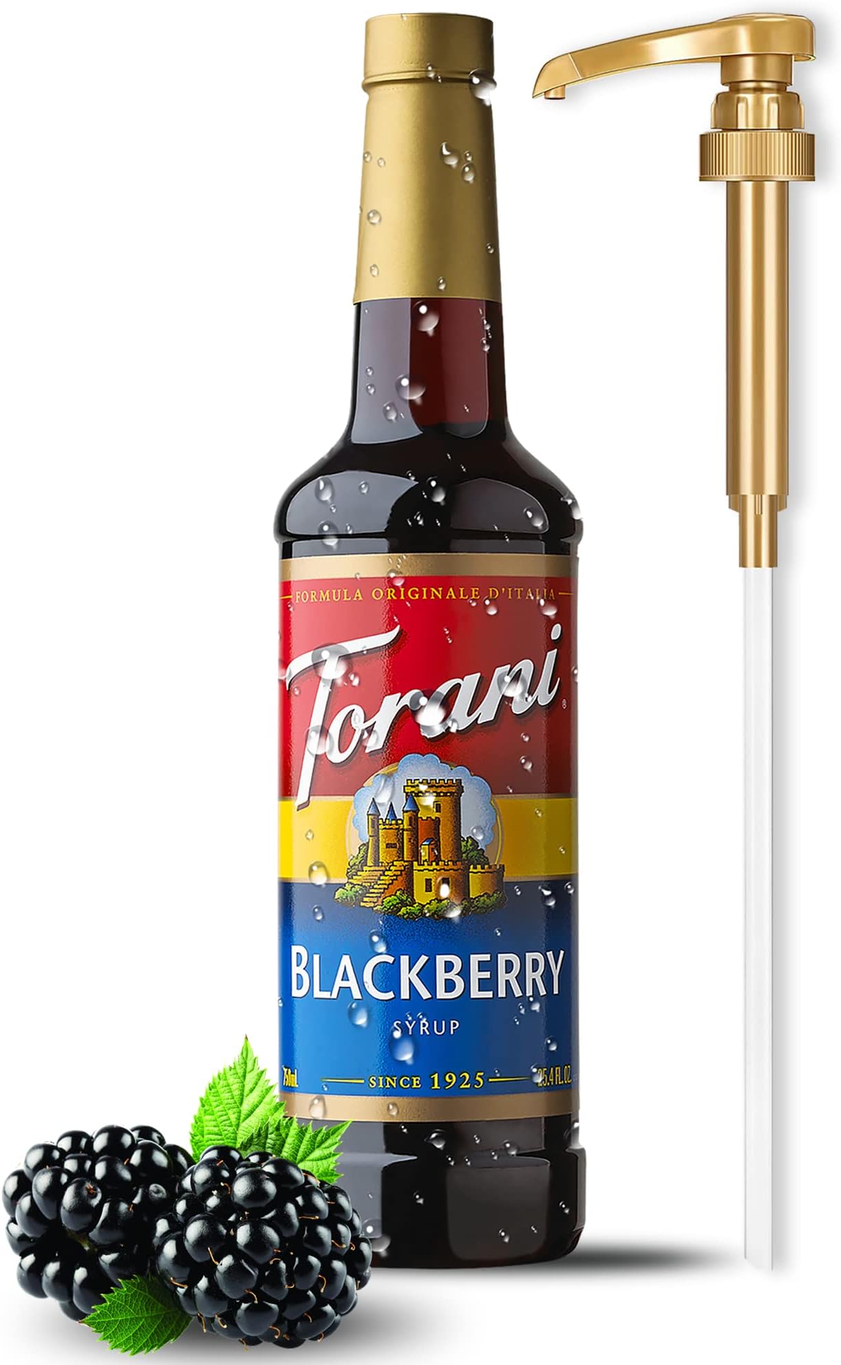 Torani Blackberry Syrup with Little Squirt Syrup Pump, 750ml 25.4 Ounces