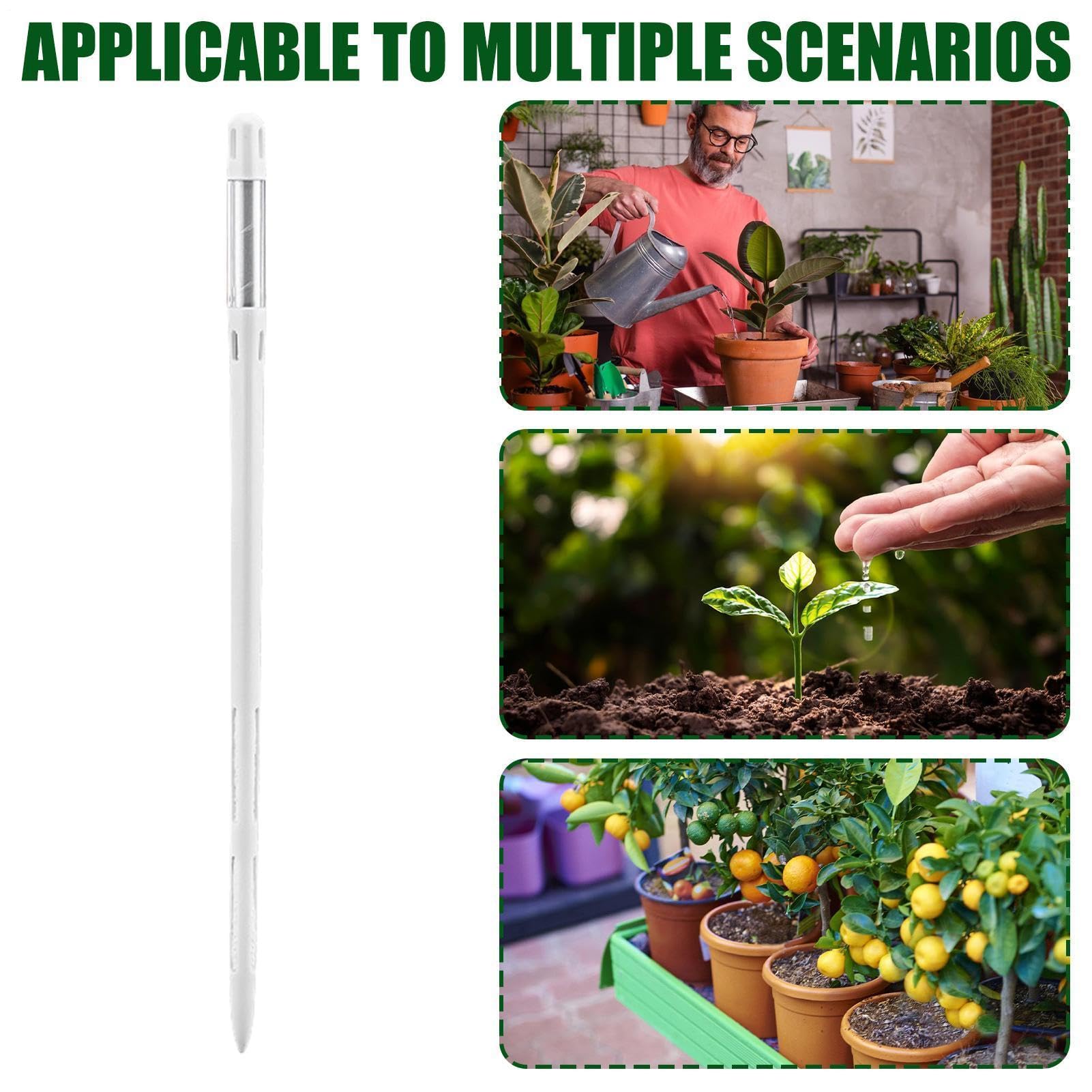 View 7