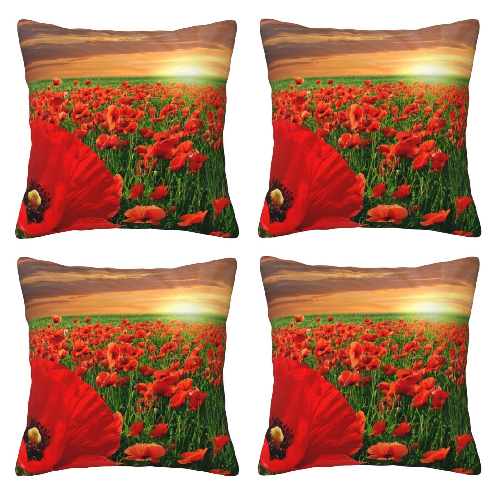 Housse de coussin pour canapé BAFAFA déco maison salon lit et voiture 45x45cm