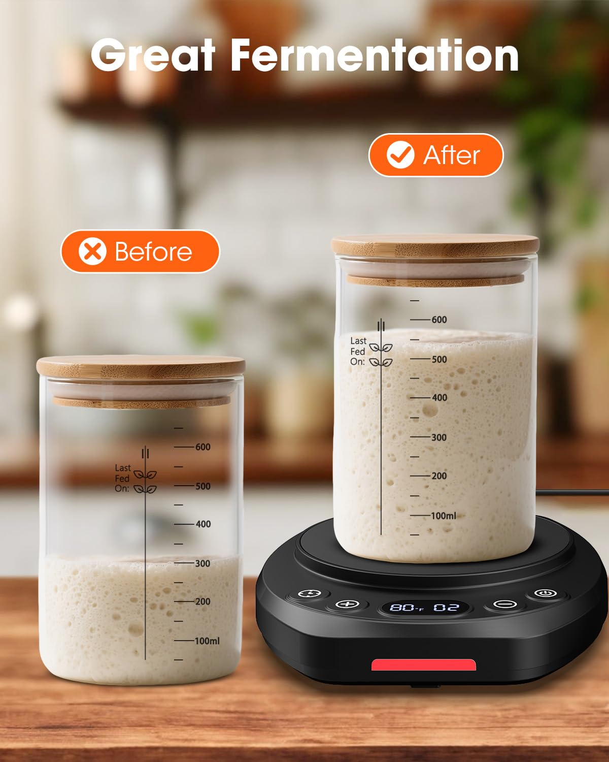MQUPIN Chauffe-levain, outils de cuisson du pain 21-49 °C, contrôle précis de la température 1 °C, minuterie 24 heures, boîte de fermentation du levain, pour la fermentation de la pâtisserie