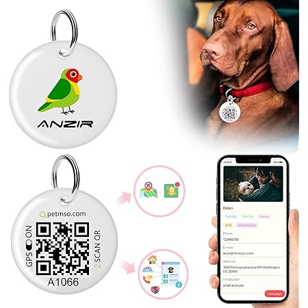 essentials for first time dog owners