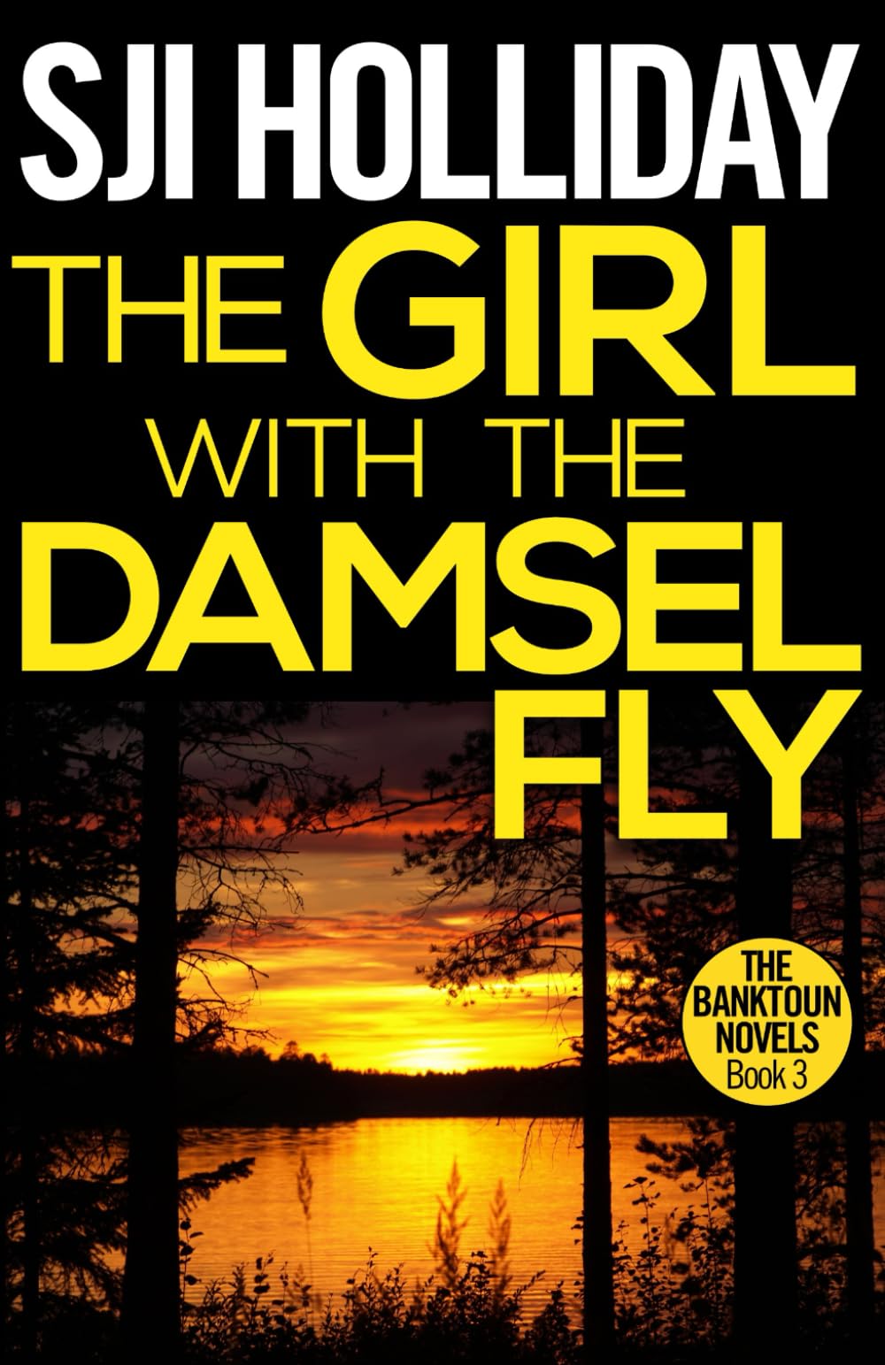 The Girl with the Damselfly: A Scottish Crime Thriller with Atmospheric Small-Town Mystery (The Banktoun Novels)
